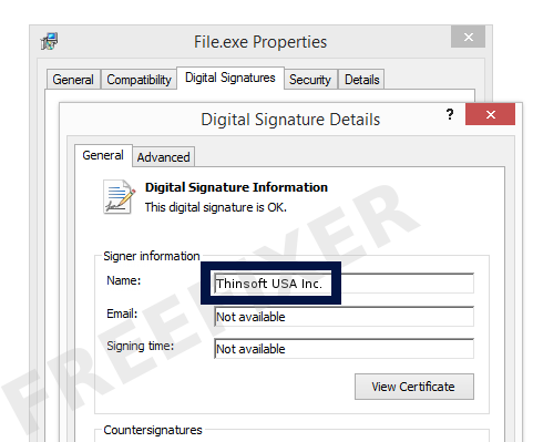 Screenshot of the Thinsoft USA Inc. certificate
